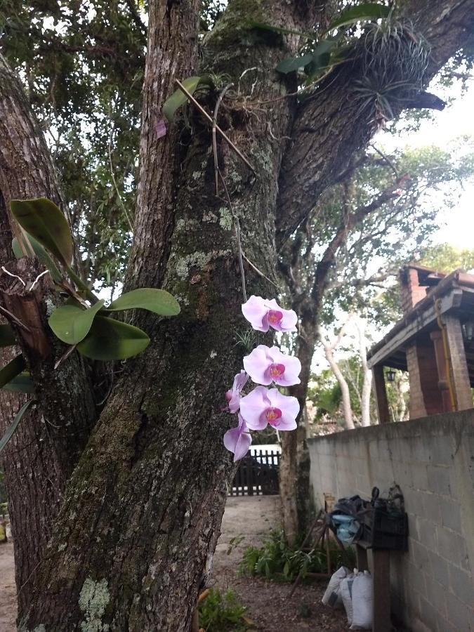 Casa Das Orquideas อาร์ไฮยัล โด กาโบ ภายนอก รูปภาพ